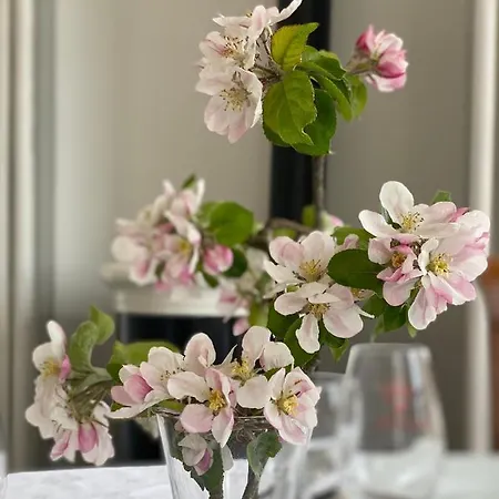 Manoir De L'oiseliere La Remuée